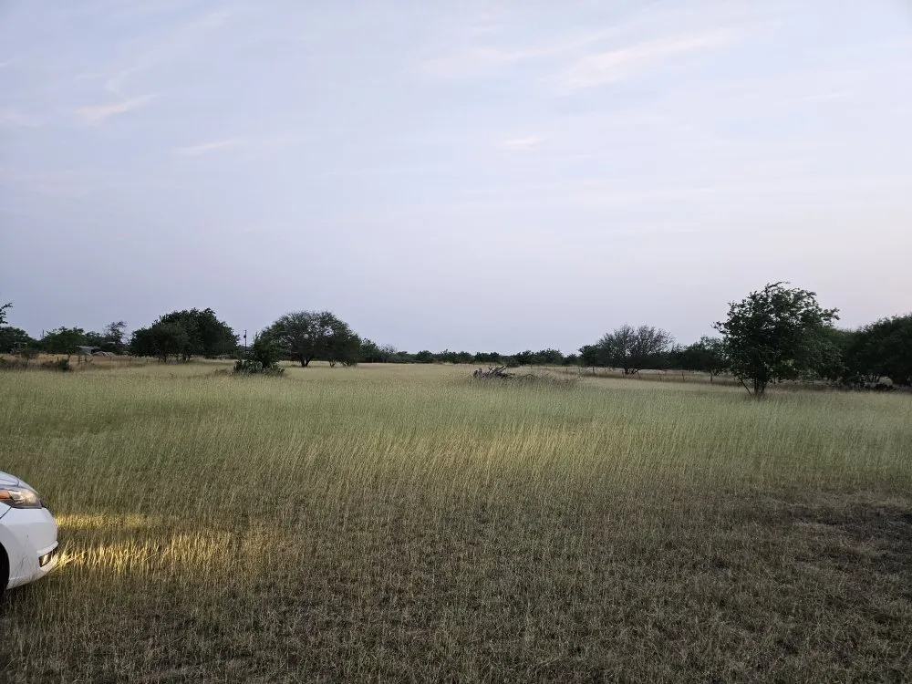 Trusted yard cleanup service for year-round maintenance across Corpus Christi, TX - Nino's Kingdom Landscaping