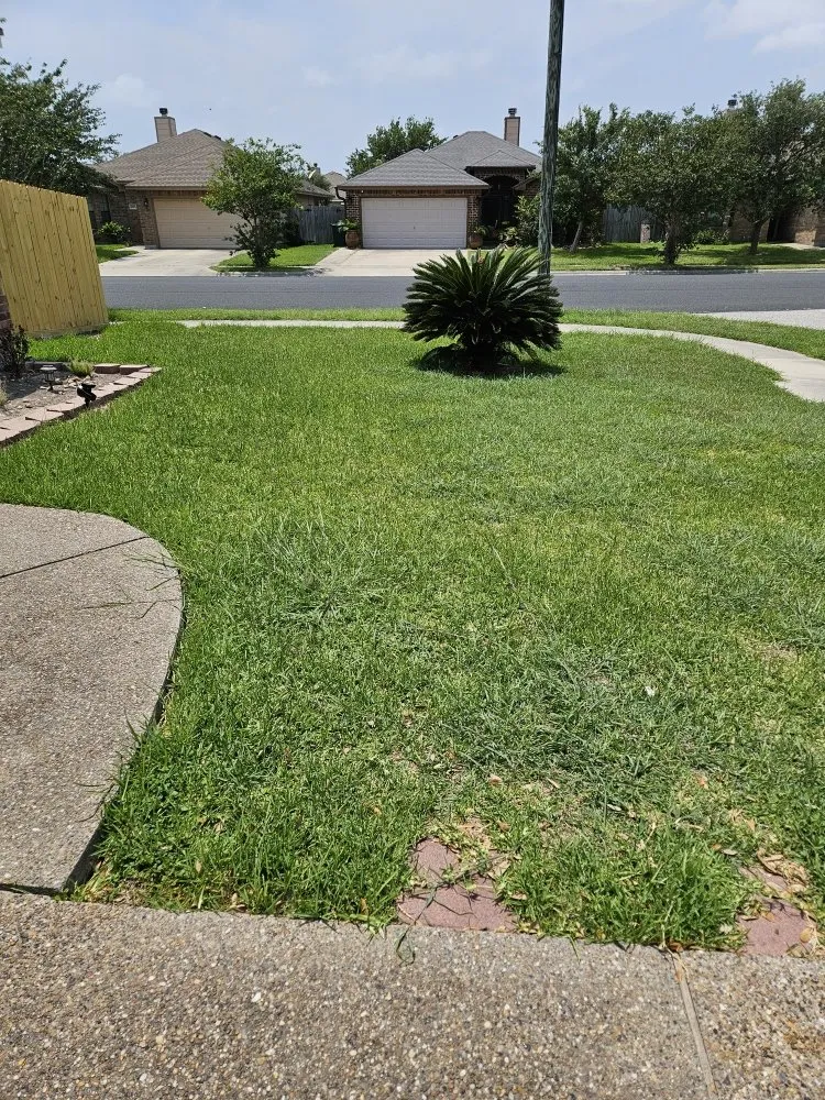 Local garden landscaping for outdoor upgrades in Corpus Christi, TX by Nino's Kingdom Landscaping