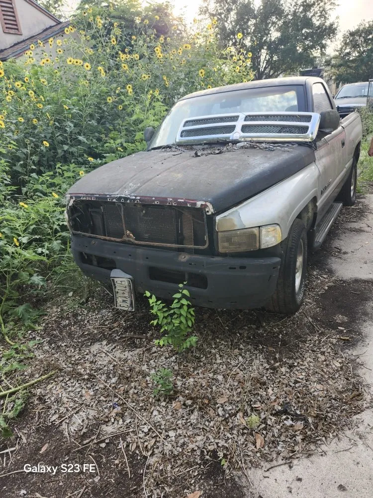 Reliable outdoor landscaping in Corpus Christi, TX by Nino's Kingdom Landscaping