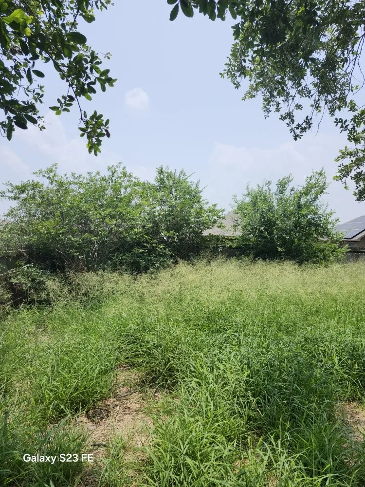 Reliable lawn mowing service in Corpus Christi, TX by Nino's Kingdom Landscaping