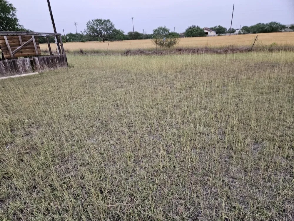 Professional landscape installation in Corpus Christi, TX by Nino's Kingdom Landscaping