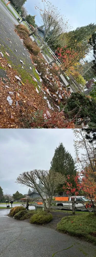 Professional yard cleanup service for outdoor upgrades in Tacoma, WA by Nin’s Landscaping