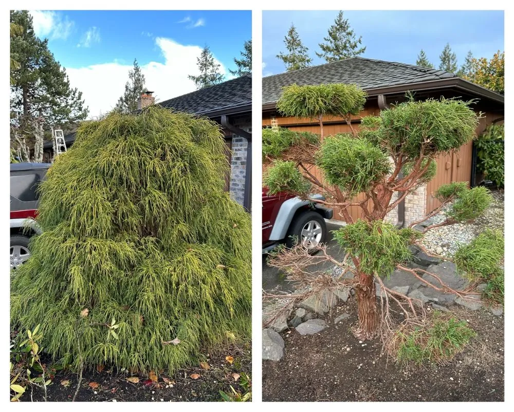 Expert landscape design experts serving Tacoma, WA - Nin’s Landscaping
