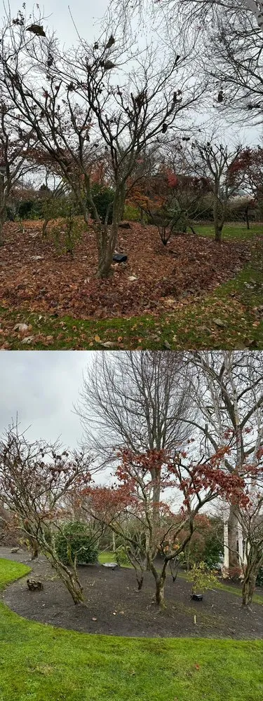 Local landscape design in Tacoma, WA by Nin’s Landscaping