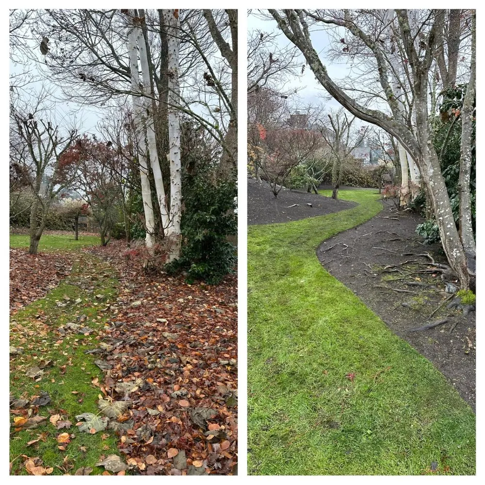 Professional landscape design in Tacoma, WA - Nin’s Landscaping