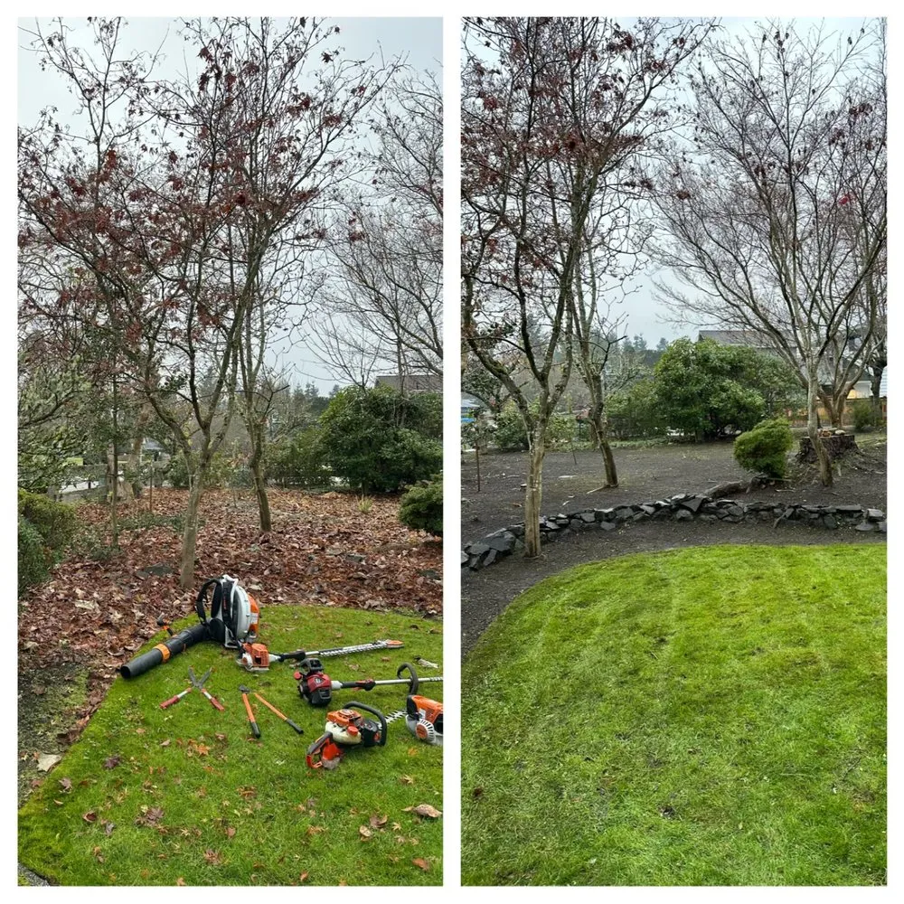 Expert yard maintenance in Tacoma, WA - Nin’s Landscaping