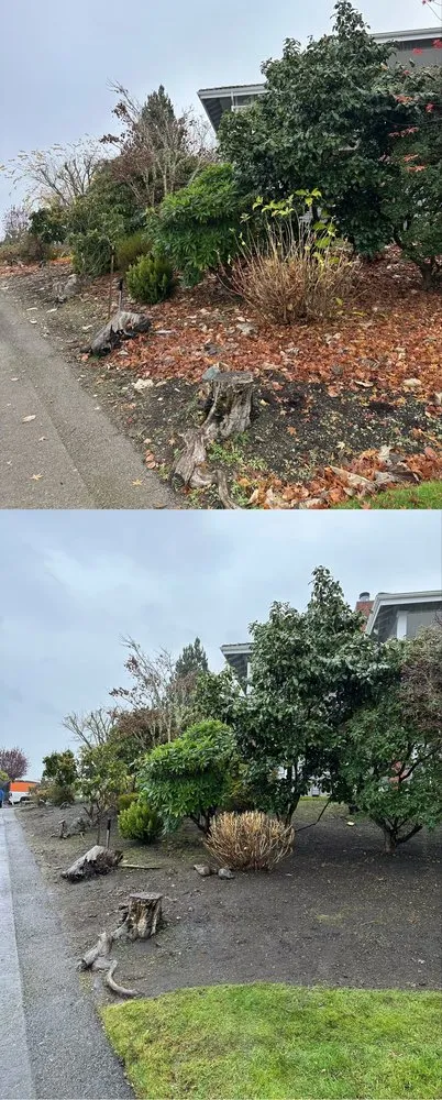 Professional landscape design for beautiful yards across Tacoma, WA - Nin’s Landscaping