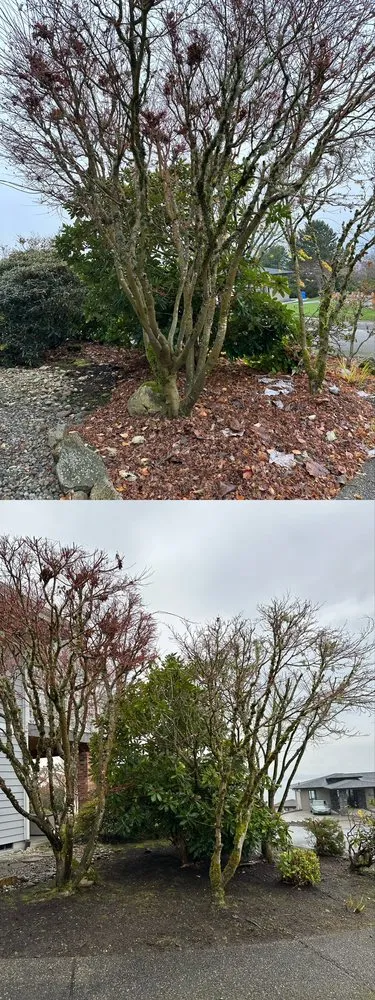 Affordable outdoor landscaping experts serving Tacoma, WA - Nin’s Landscaping