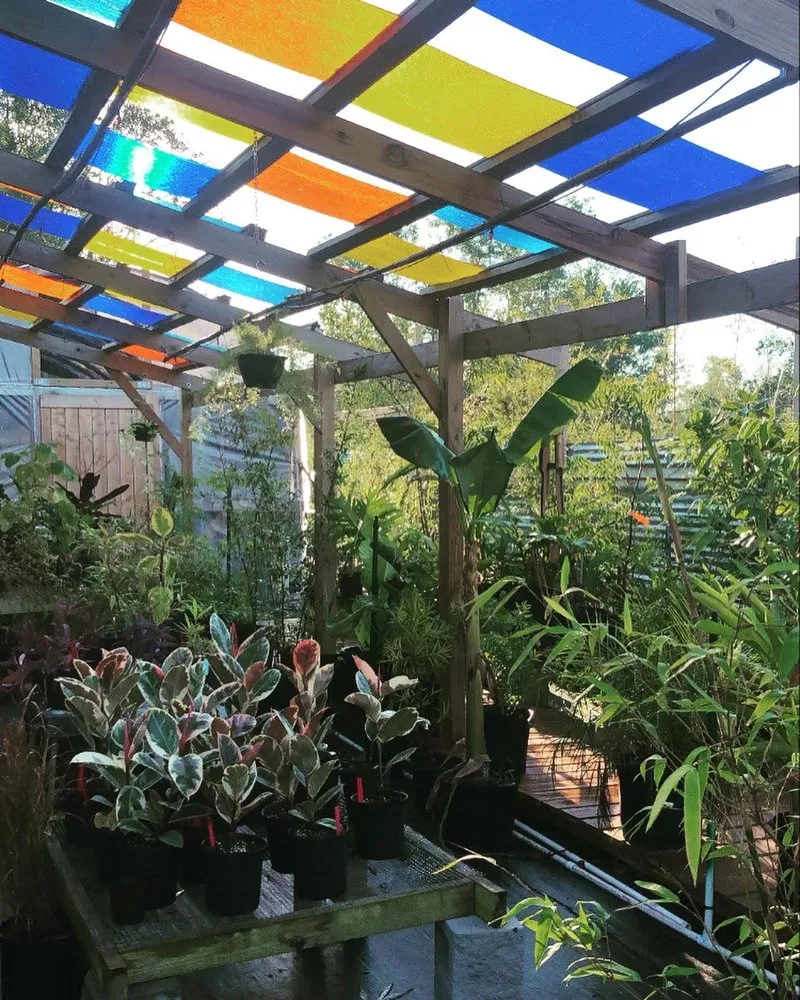 Top-rated lawn care service in New Orleans, LA - Ninth Ward Nursery