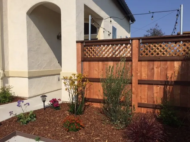 Custom yard cleanup service in Santa Maria, CA - Nishimori Landscape & Design