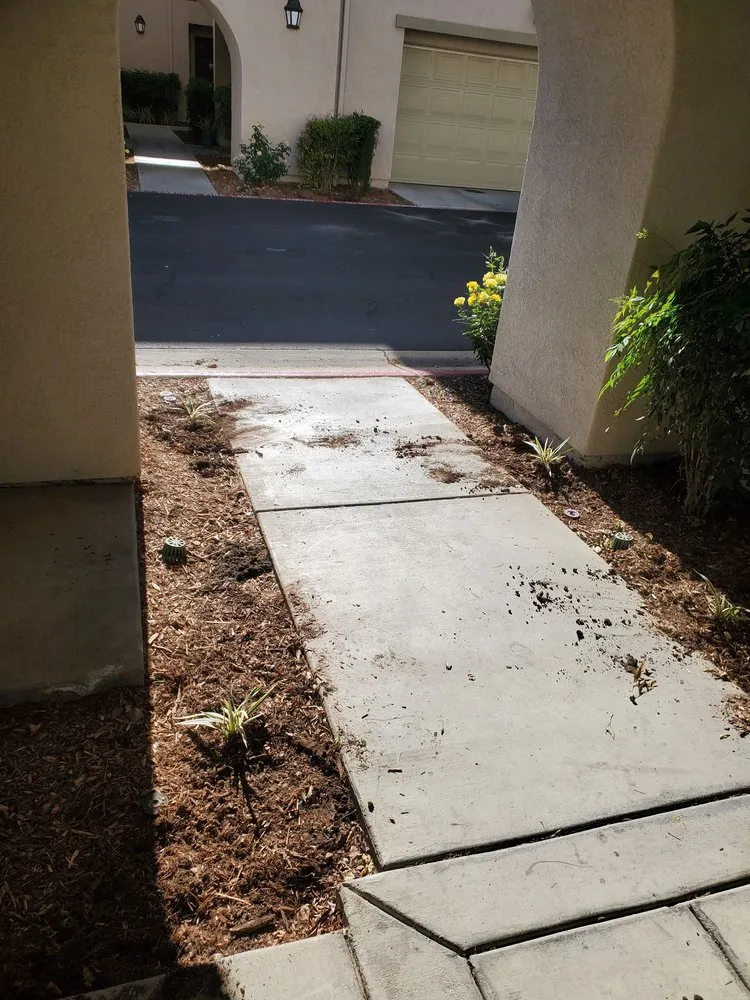 Reliable residential landscaping in Vista, CA by Nissho of California