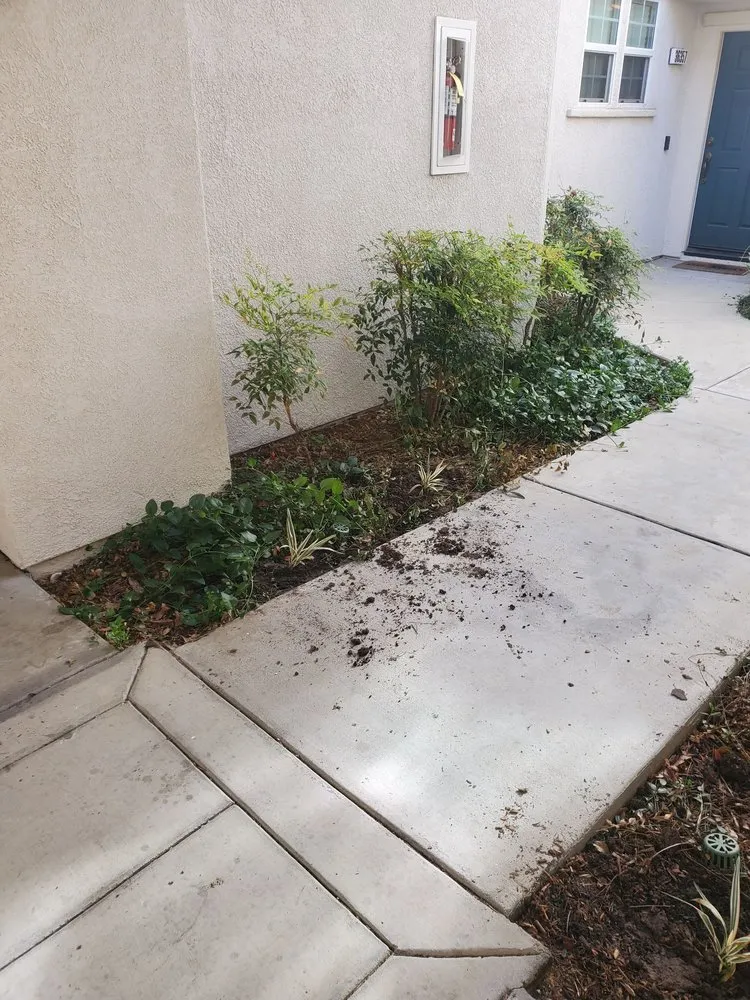 Top-rated outdoor landscaping experts serving Vista, CA - Nissho of California