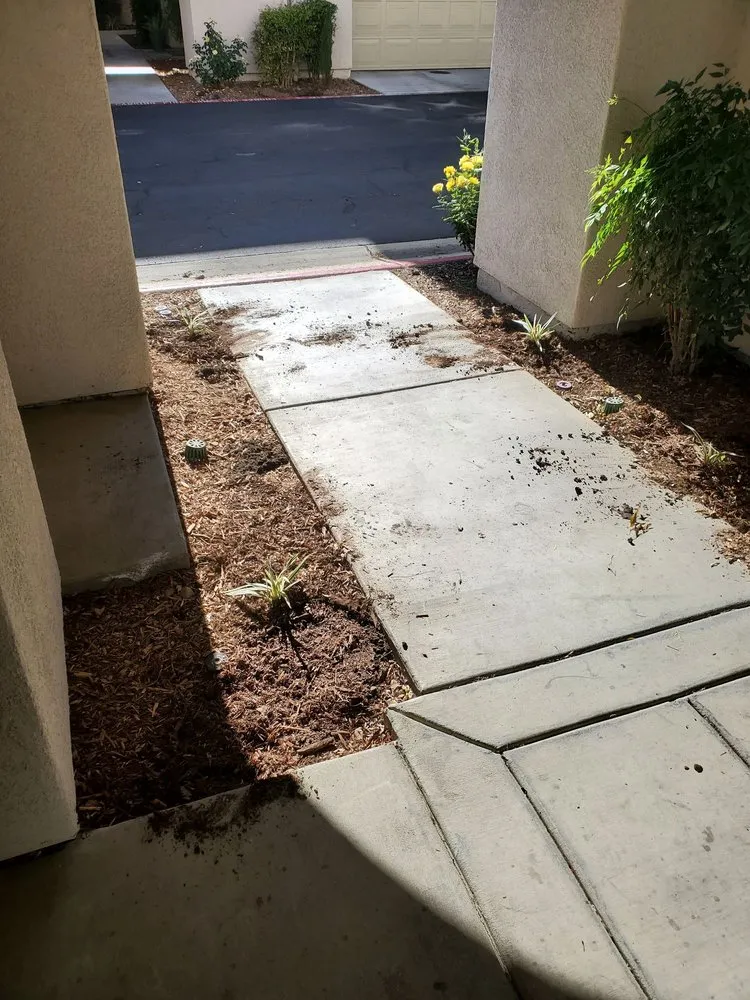 Trusted yard maintenance experts serving Vista, CA - Nissho of California