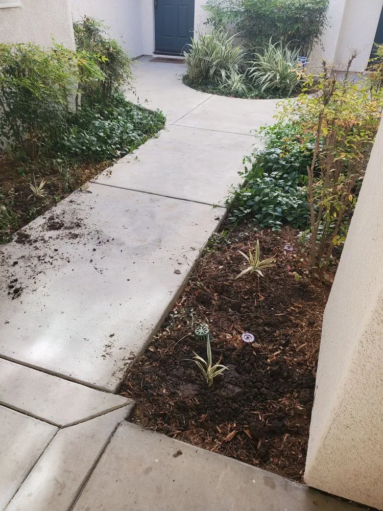 Affordable landscaping services experts serving Vista, CA - Nissho of California