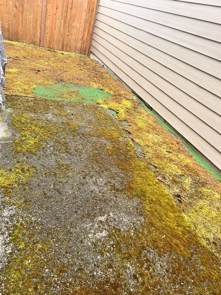 Expert lawn care service experts serving Marysville, WA - Nissi Lands Construction