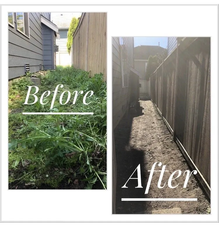 Top-rated landscaping services near you across Marysville, WA - Nissi Lands Construction