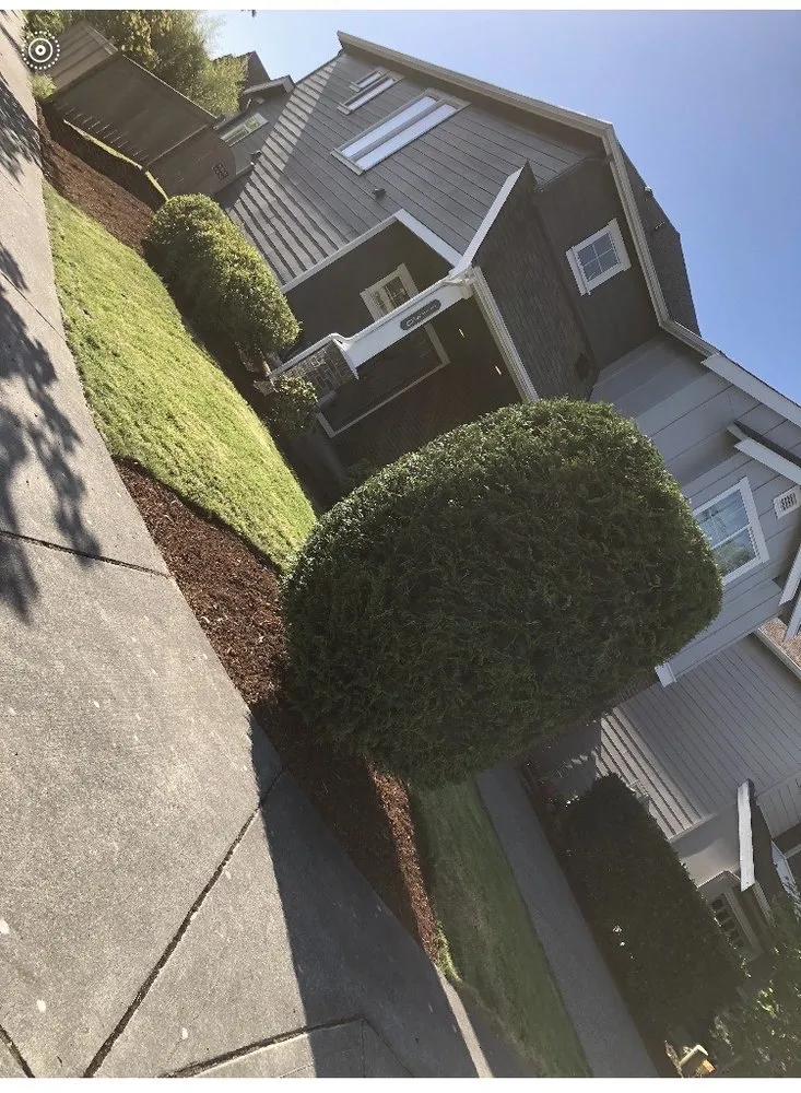 Affordable landscape installation near you in Marysville, WA by Nissi Lands Construction