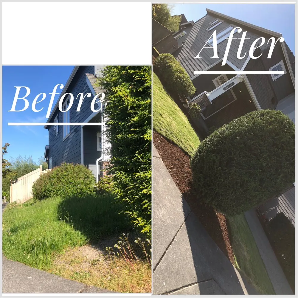 Affordable yard cleanup service with custom design in Marysville, WA by Nissi Lands Construction