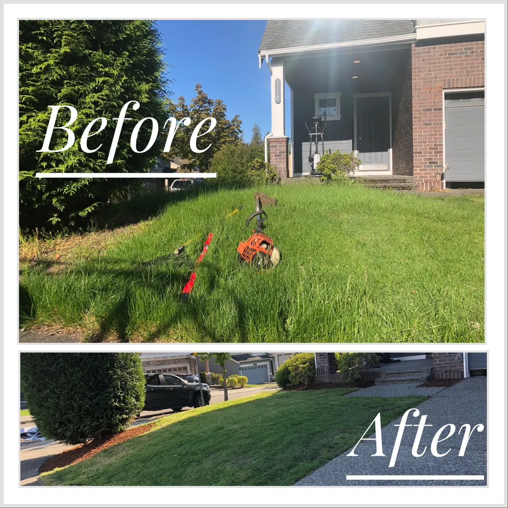 Professional lawn mowing service in Marysville, WA - Nissi Lands Construction