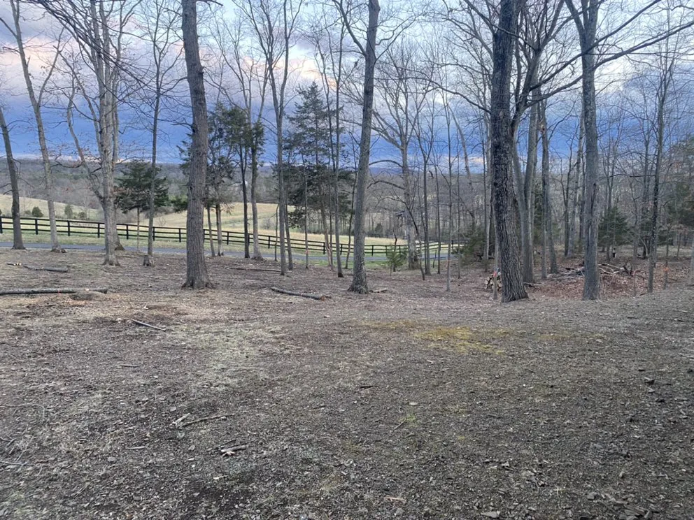 Professional lawn care service for homes across Winchester, VA - Niswander Land Services