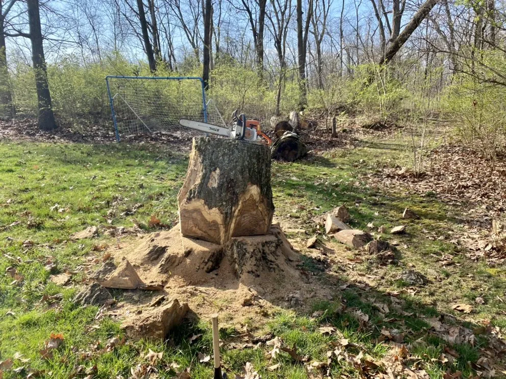 Professional lawn mowing service experts serving Winchester, VA - Niswander Land Services