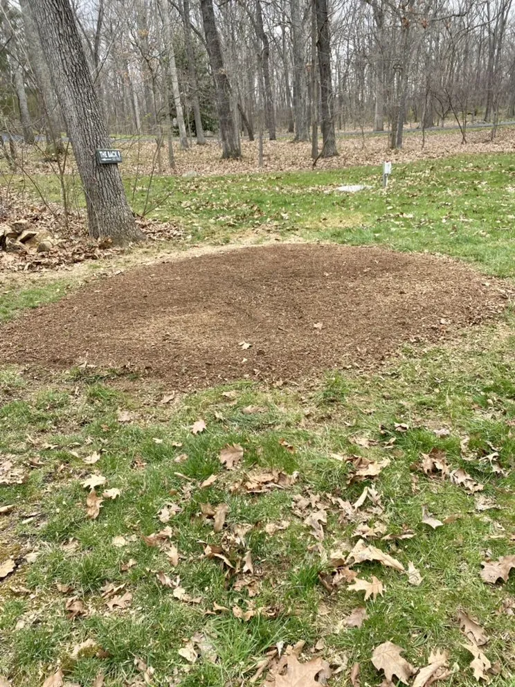 Affordable residential landscaping for year-round maintenance in Winchester, VA by Niswander Land Services