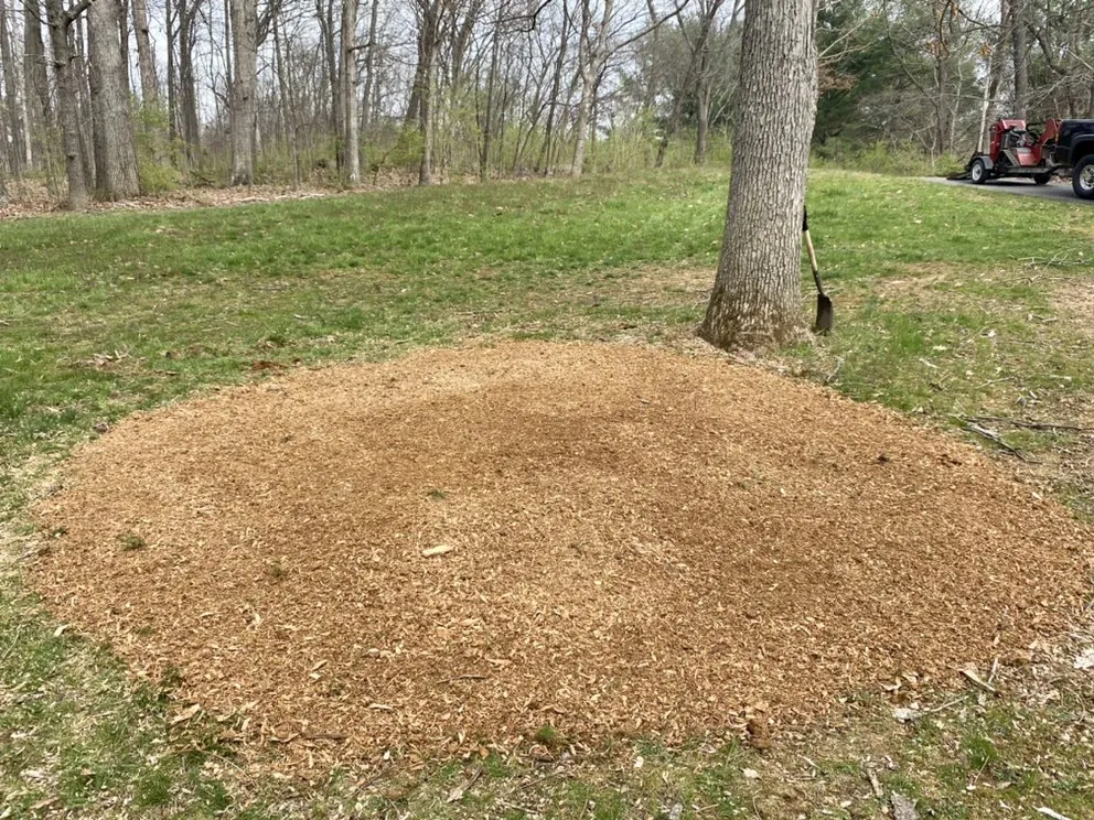 Local lawn mowing service in Winchester, VA - Niswander Land Services