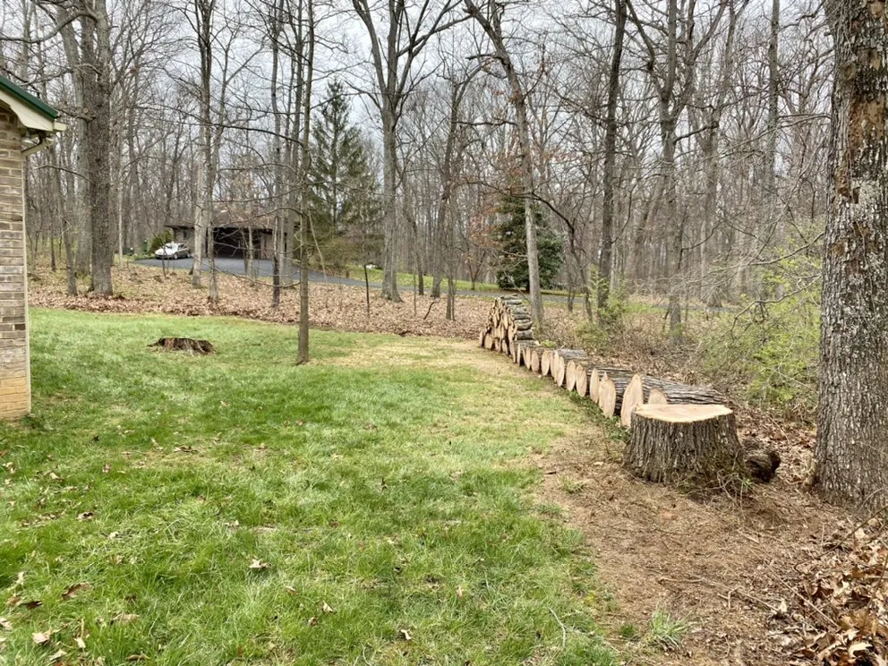 Affordable yard maintenance in Winchester, VA by Niswander Land Services