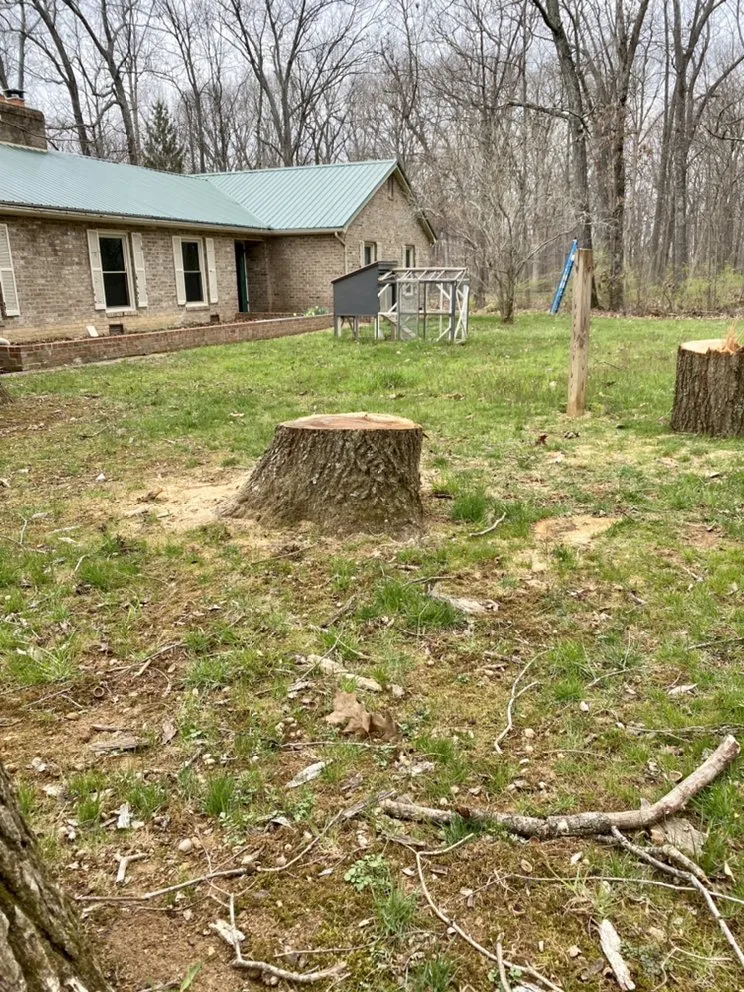 Top-rated lawn care service in Winchester, VA - Niswander Land Services