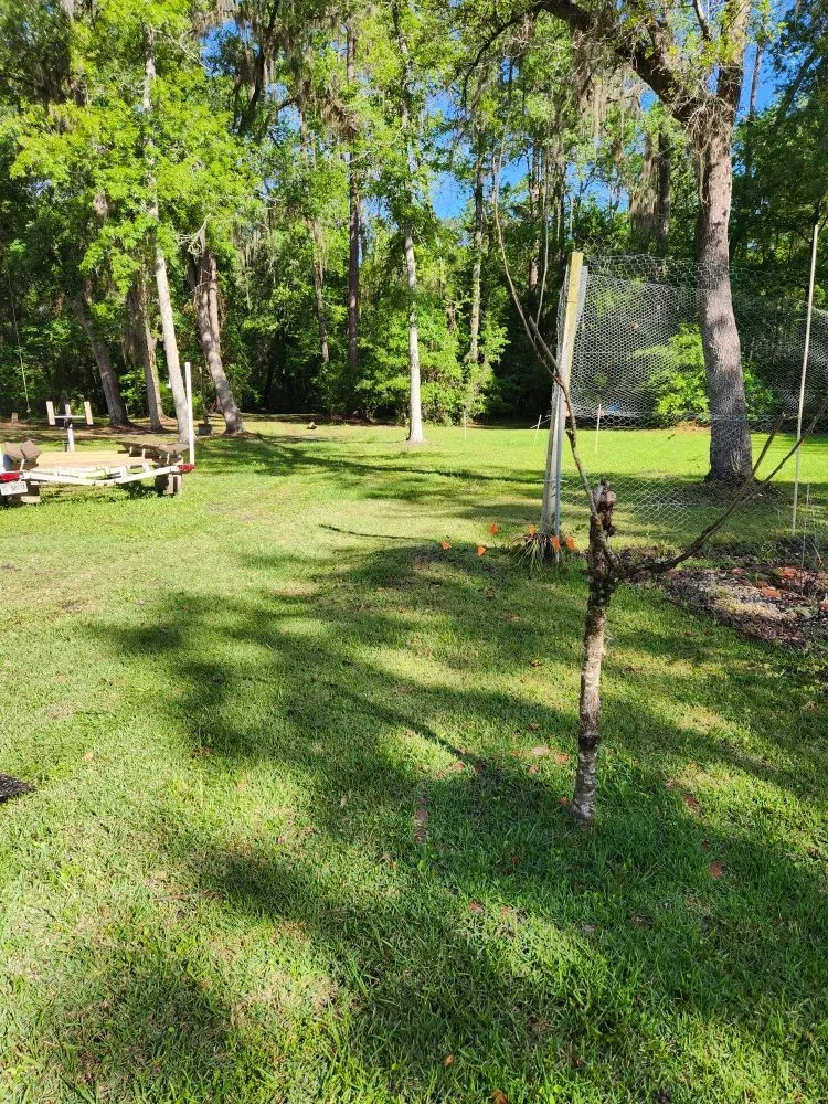 Trusted garden landscaping for outdoor upgrades in Waycross, GA by Nite Owl Lawn Care