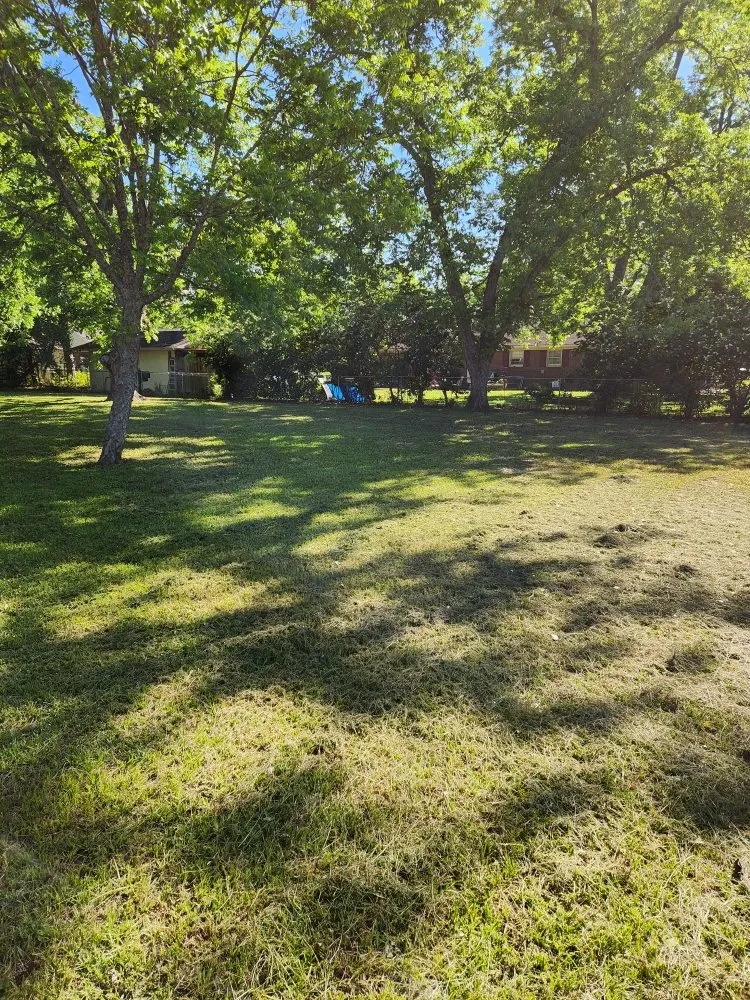 Trusted lawn care service experts serving Waycross, GA - Nite Owl Lawn Care