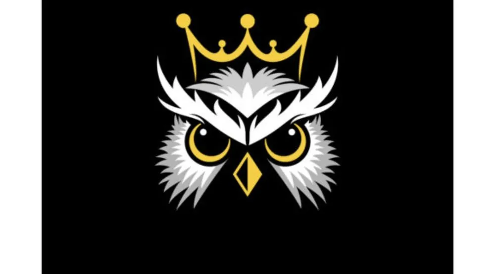 Expert landscape installation in Houston, TX by Nite Owll