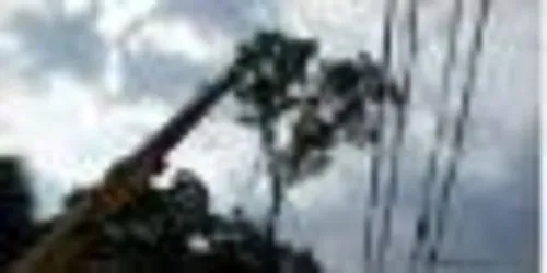 Expert outdoor landscaping near you across Mount Airy, NC - Niten Services