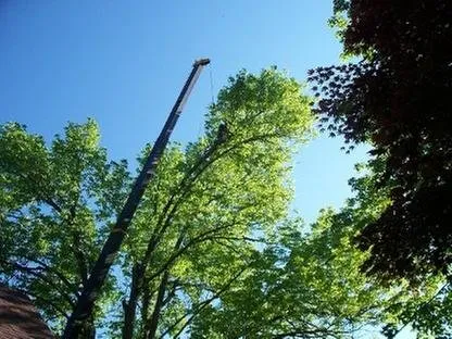 Affordable landscape installation in Mount Airy, NC - Niten Services