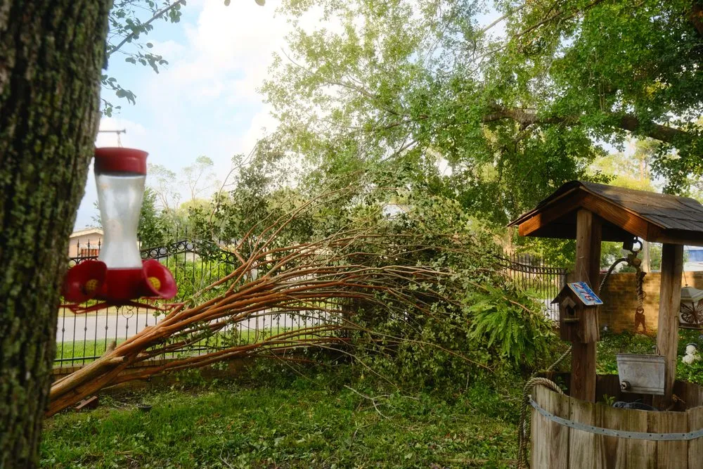 Trusted garden landscaping in Houston, TX by Nito’s Tree Service