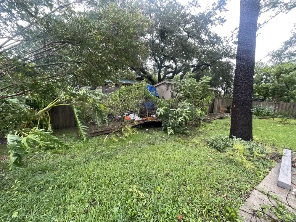 Affordable lawn care service experts serving Houston, TX - Nito’s Tree Service