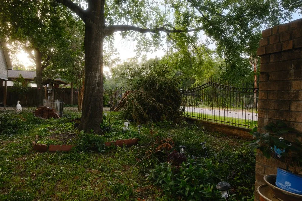 Reliable lawn care service in Houston, TX by Nito’s Tree Service