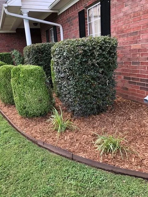 Affordable garden landscaping for beautiful yards in Conway, AR by NitroLawn