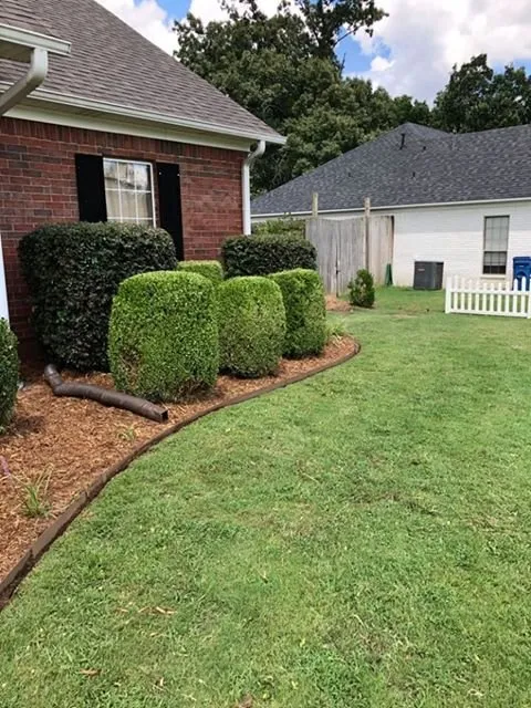 Custom yard maintenance for beautiful yards across Conway, AR - NitroLawn