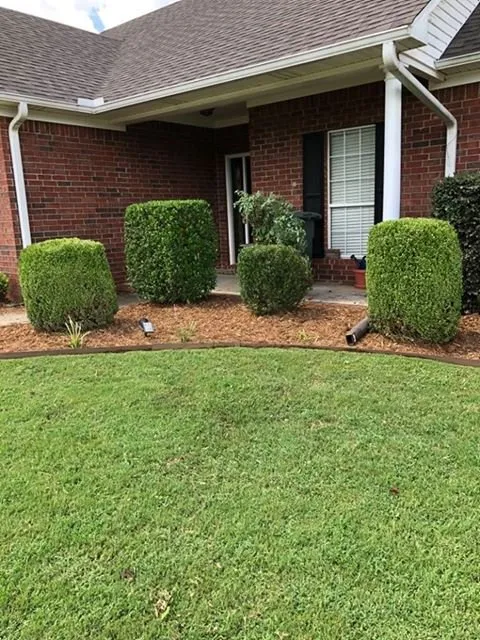 Custom yard cleanup service for outdoor upgrades across Conway, AR - NitroLawn