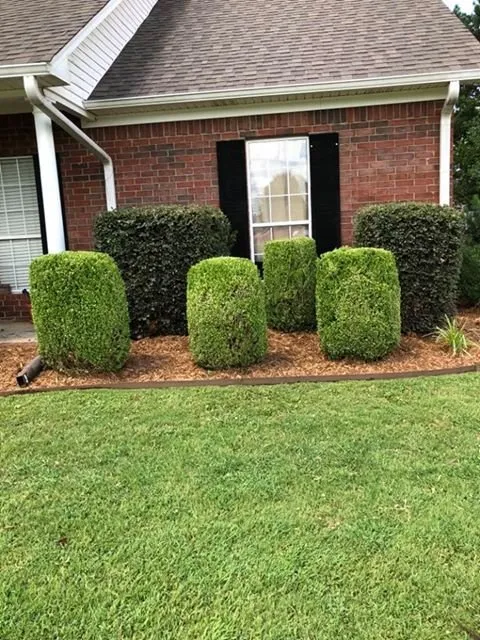 Top-rated lawn care service for beautiful yards across Conway, AR - NitroLawn