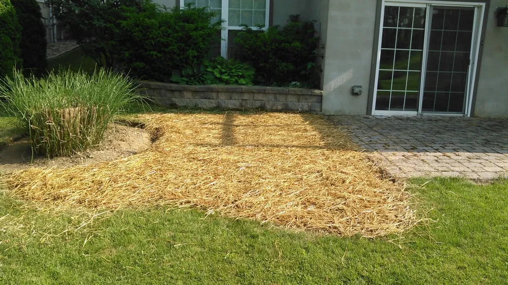 Expert landscape design in Boalsburg, PA - Nittany Lawns