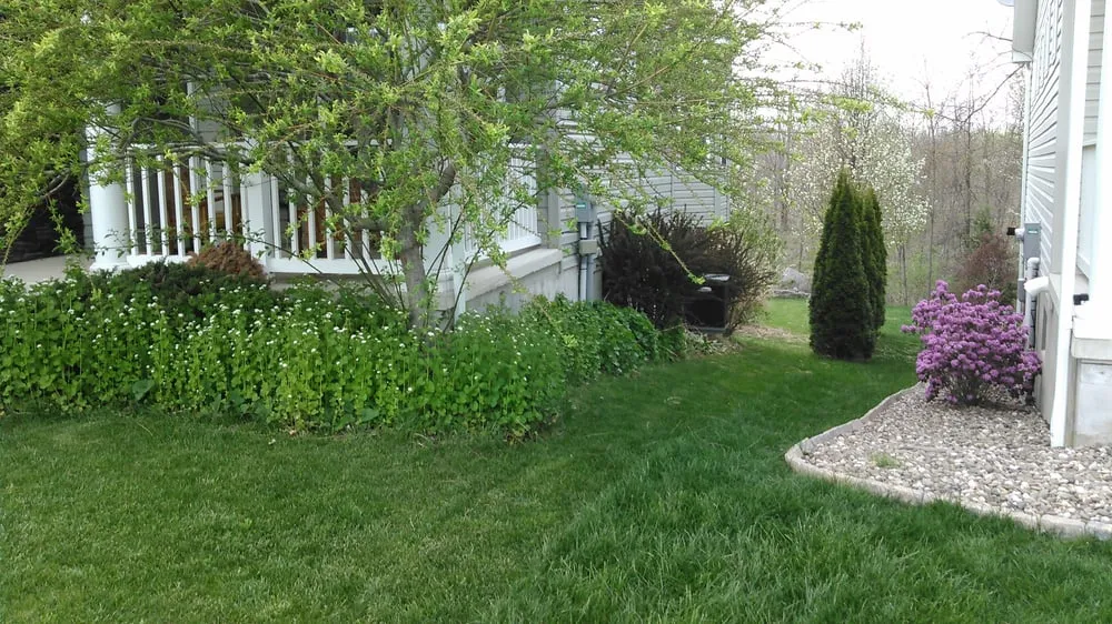 Affordable landscape design experts serving Boalsburg, PA - Nittany Lawns