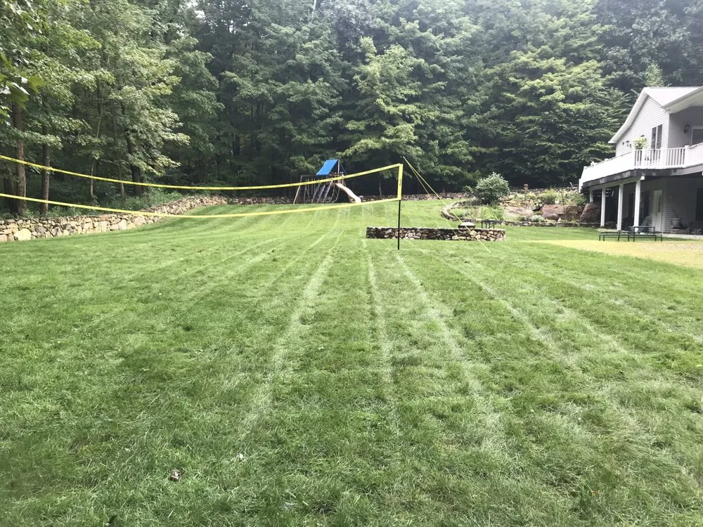 Custom yard cleanup service experts serving Jefferson, NJ - Nitty Gritty