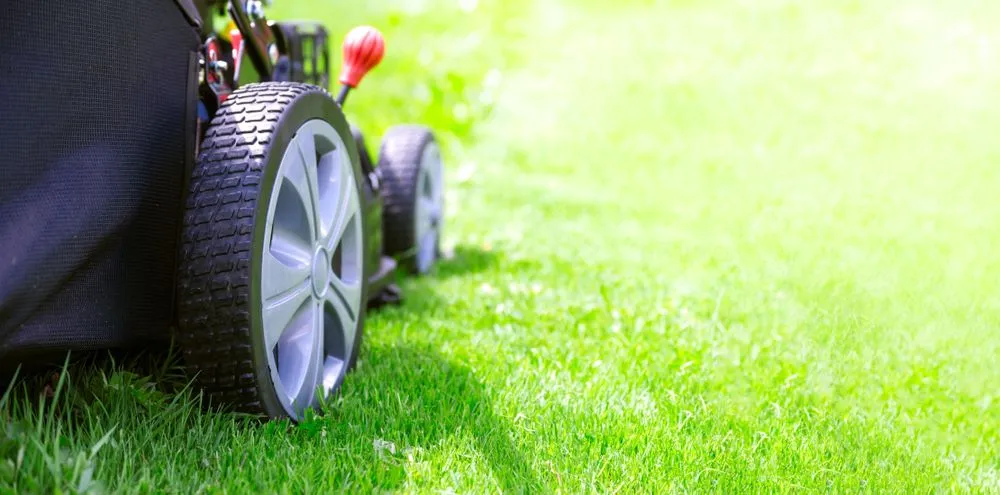Local lawn care service for beautiful yards across Boynton Beach, FL - Nitty Gritty Lawn & Pressure Cleaning Service