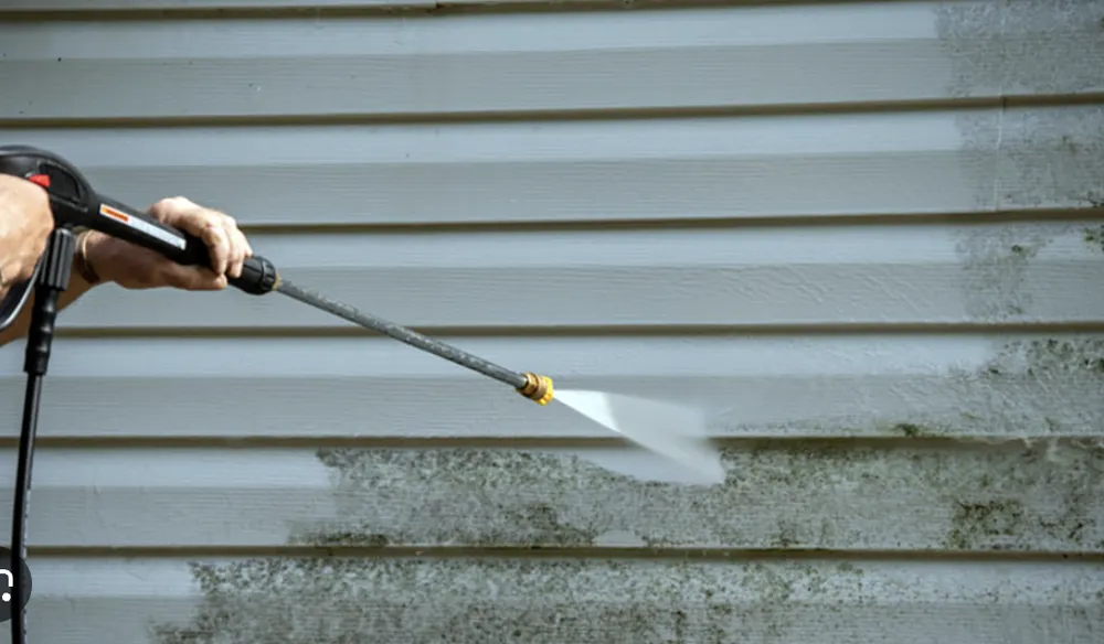 Custom yard maintenance for beautiful yards in Boynton Beach, FL by Nitty Gritty Lawn & Pressure Cleaning Service