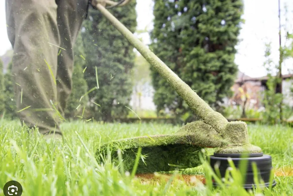 Trusted outdoor landscaping with custom design in Boynton Beach, FL by Nitty Gritty Lawn & Pressure Cleaning Service