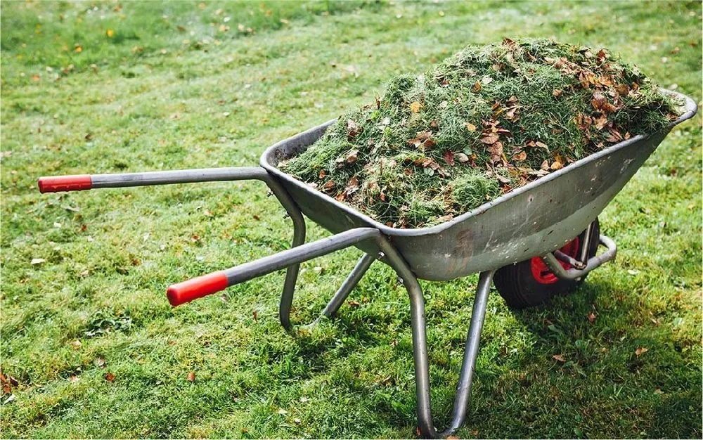 Trusted landscaping services for residential properties across Springville, UT - Niu Lawn care