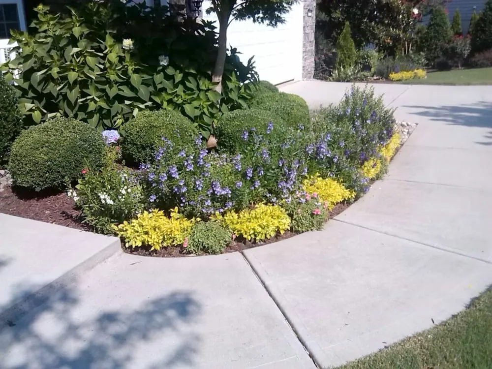 Reliable yard maintenance experts serving Rock Hill, SC - Niwaki