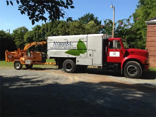 Affordable lawn care service for homes in Rock Hill, SC by Niwaki